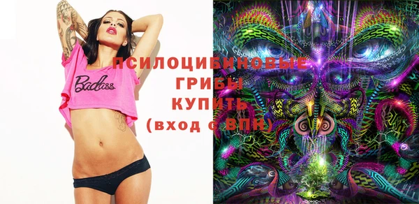 a pvp Вязьма