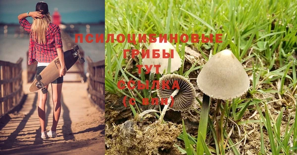 дистиллят марихуана Вяземский
